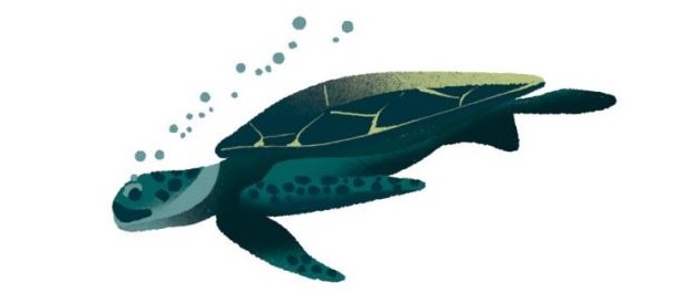 turtle - ocean financing
