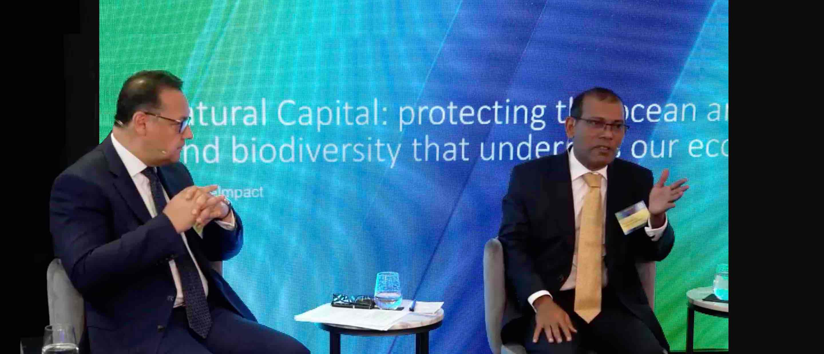 COP26-Natural-Capital.jpg