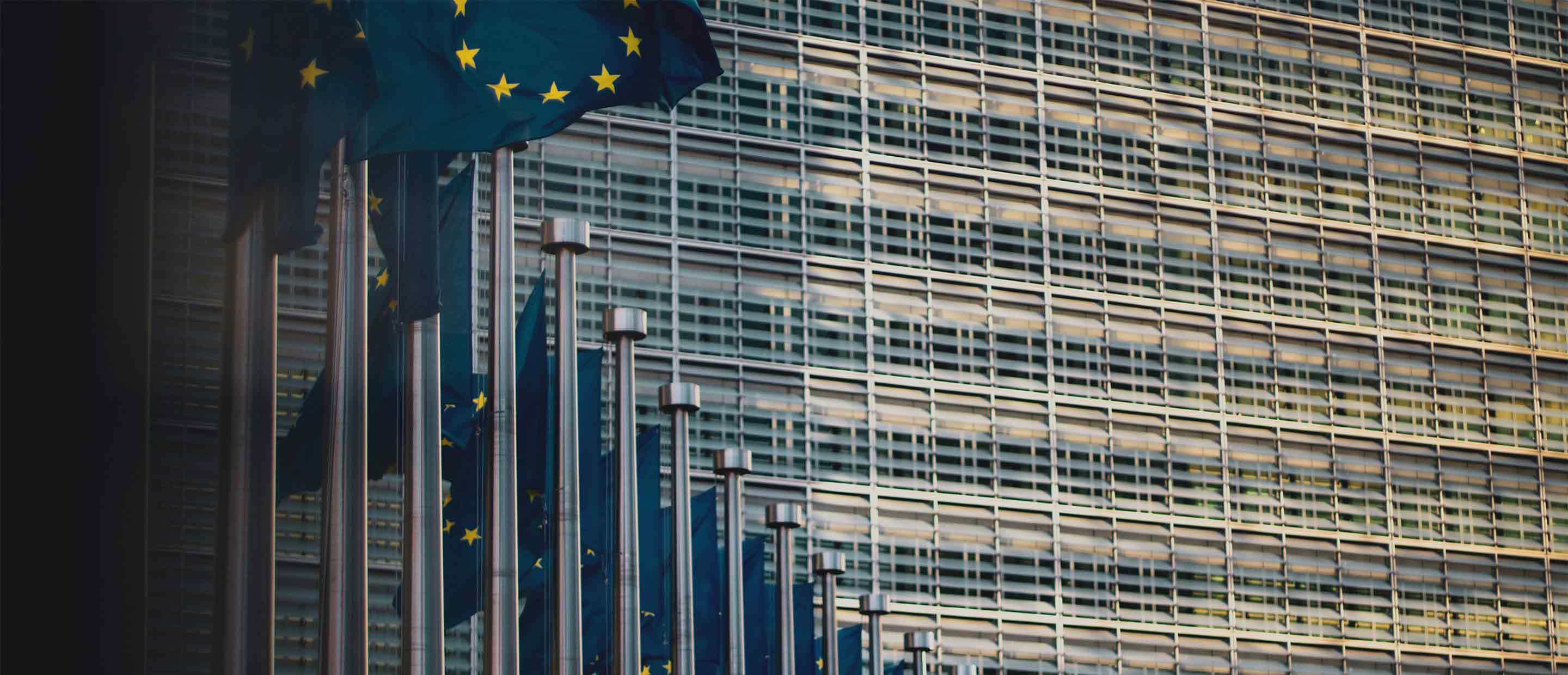 EU carbon market: more to come