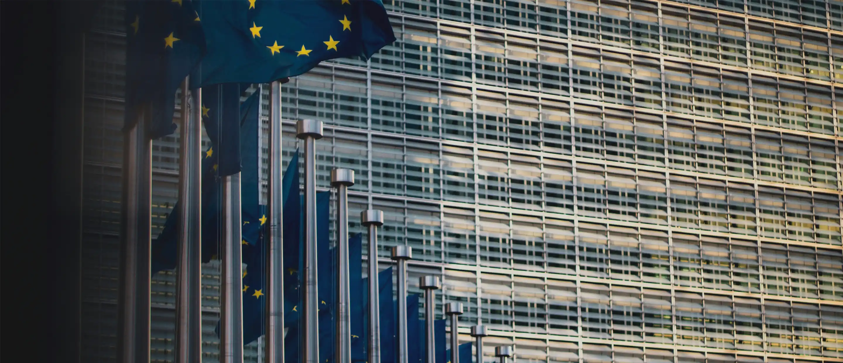 EU carbon market: more to come