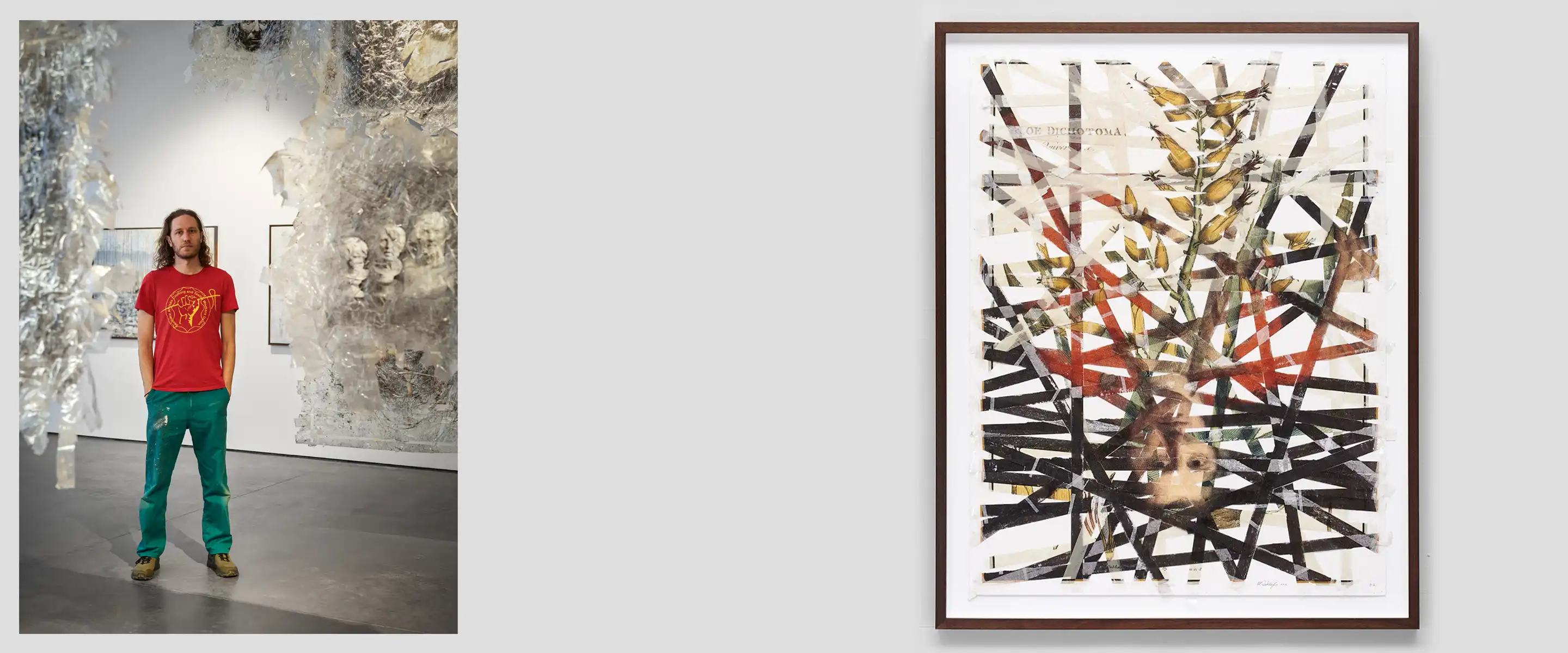 Image 1: Mikhael Subotzky portrait. Image 2: Mikhael Subotzky's work 'Sticky Tape Transfer 13, Quiver Tree / Robert Jacob Gordon,' 2015. 
