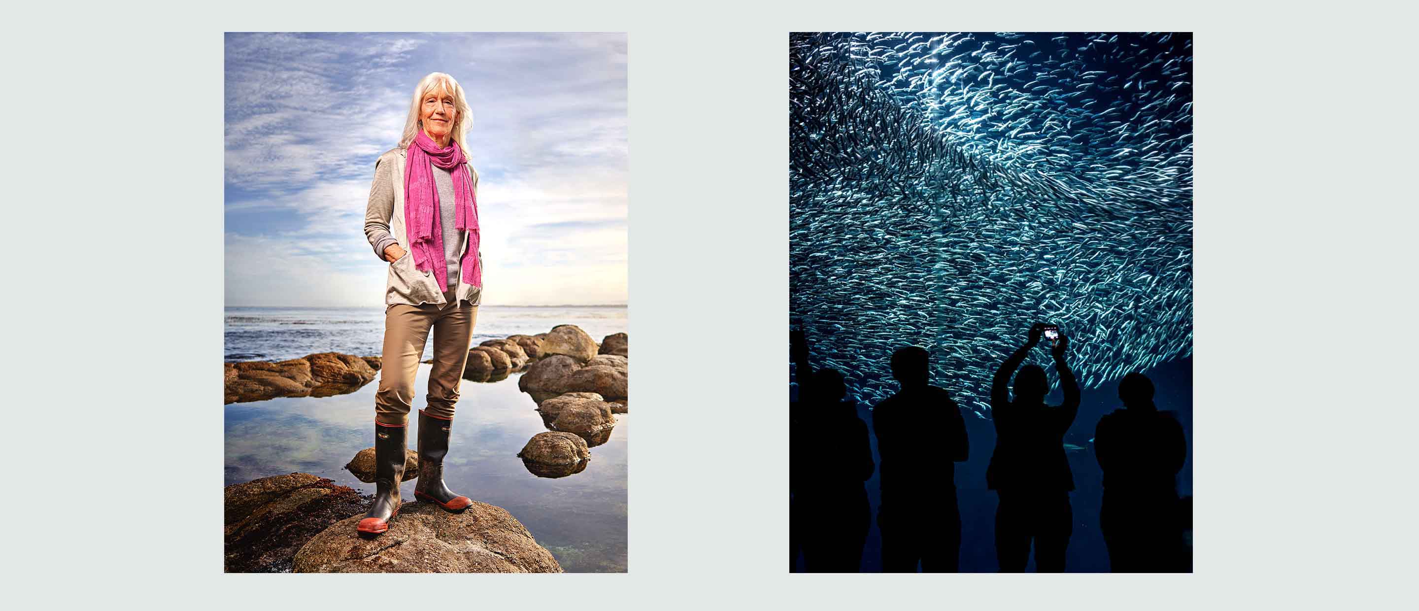 Julie Packard Monterey Bay aquarium