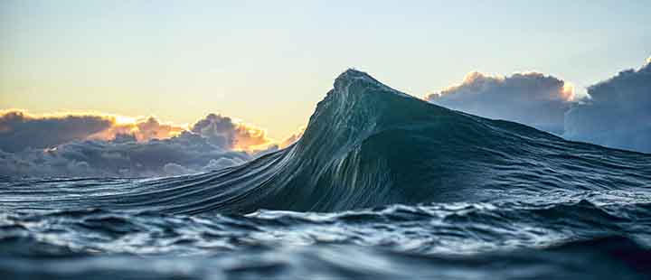 Ray collins wave 2