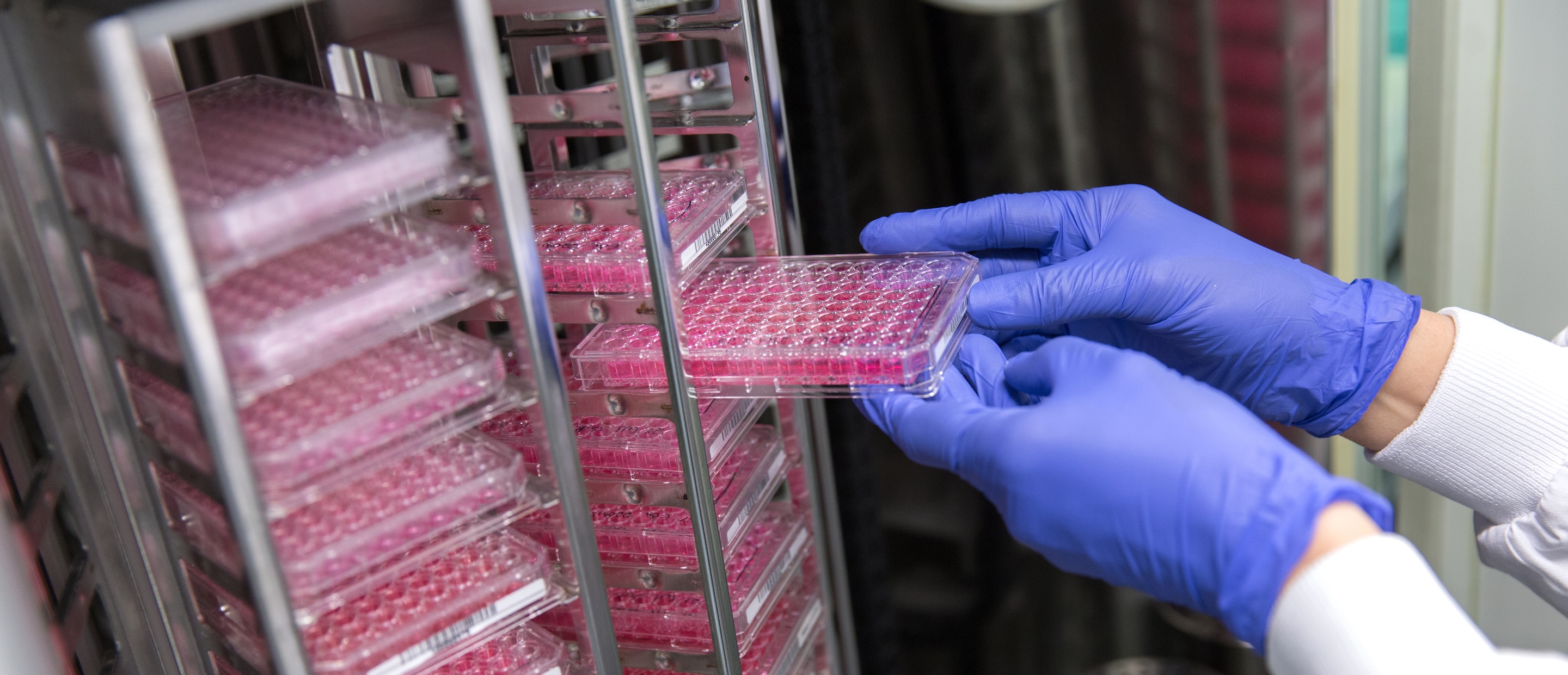 Racks of phials in the Imperial Centre for Translational and Experimental Medicine