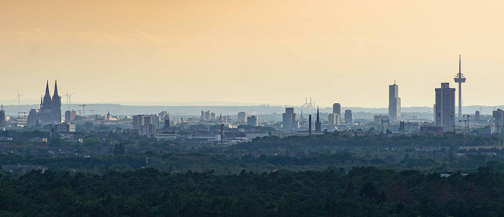 wealth management firm in Cologne